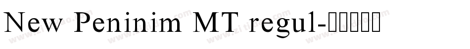New Peninim MT regul字体转换
